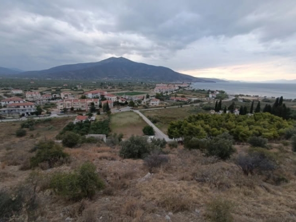 House for Sale in Paralio Astros